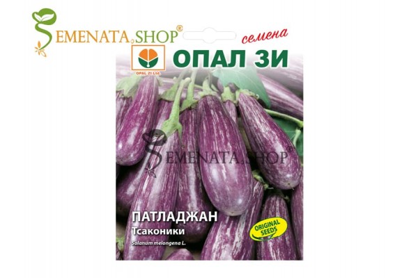 Шарен патладжан семена от сорт Тсаконики представен от Севън сийдс ООД Шарен патладжан семена от сорт Тсаконики представен от Севън сийдс ООД